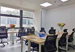 龙海土笋冻批发