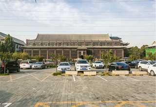 茂名田园树苗植保