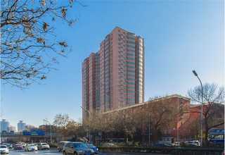 金山区新旧木材回收公司